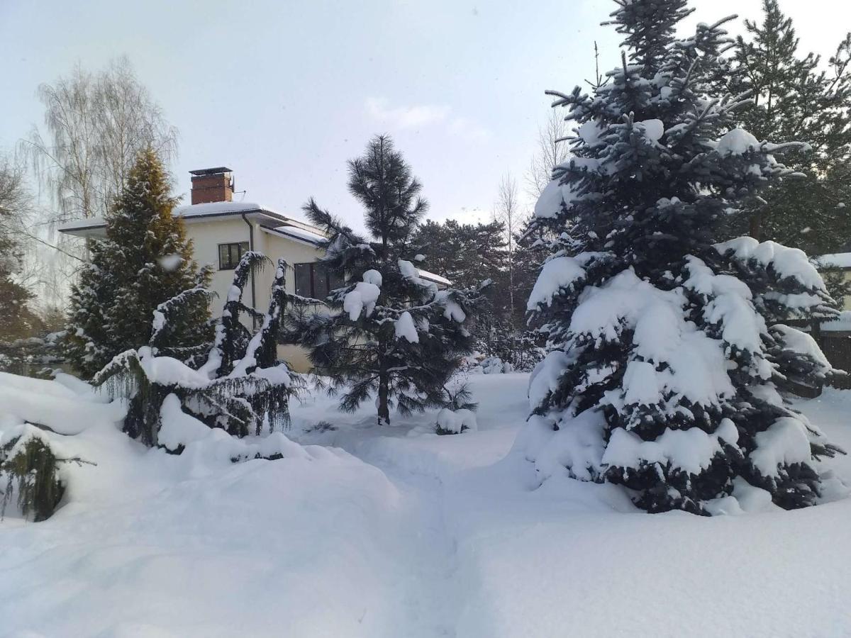 Guest House Pechersky & Sons Dreilini  外观 照片