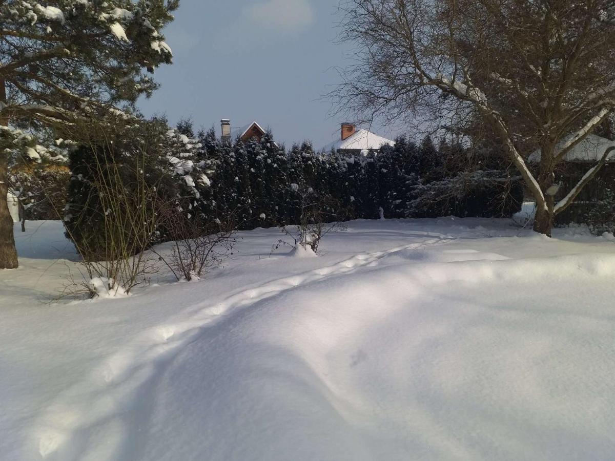 Guest House Pechersky & Sons Dreilini  外观 照片