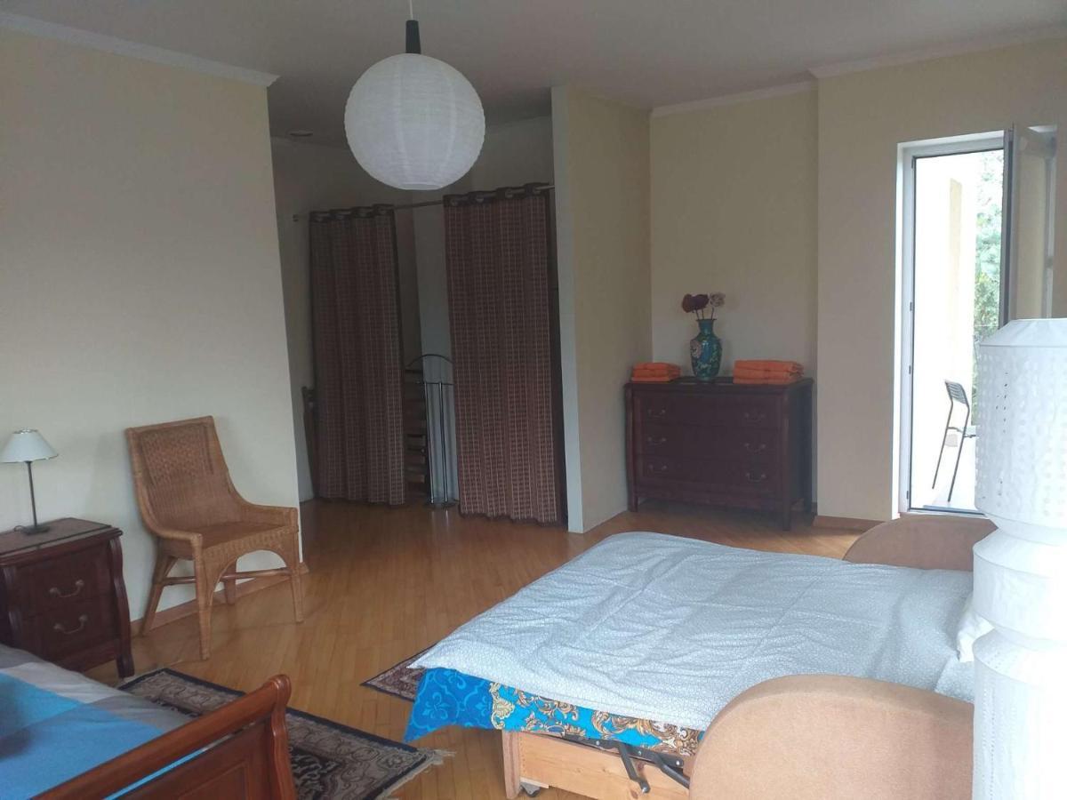 Guest House Pechersky & Sons Dreilini  外观 照片