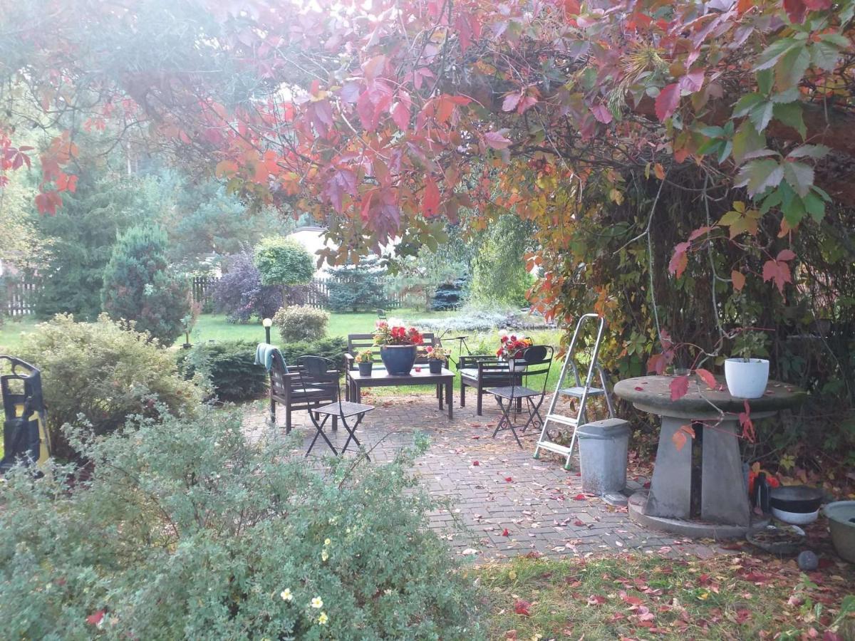 Guest House Pechersky & Sons Dreilini  外观 照片