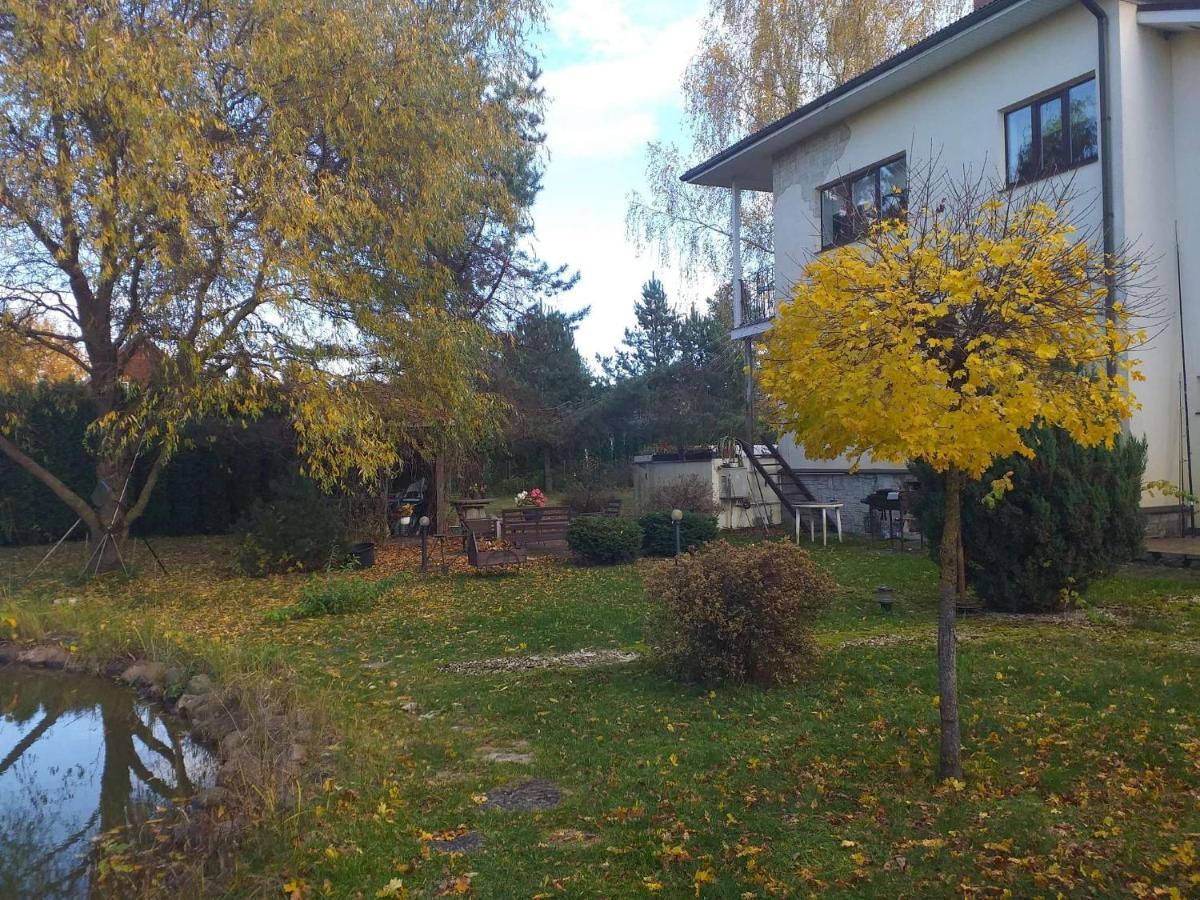 Guest House Pechersky & Sons Dreilini  外观 照片